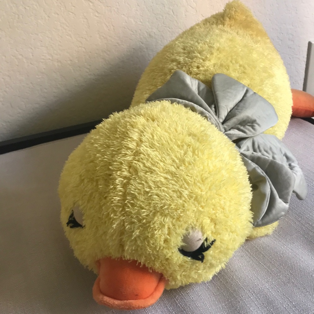 Fluffy duck